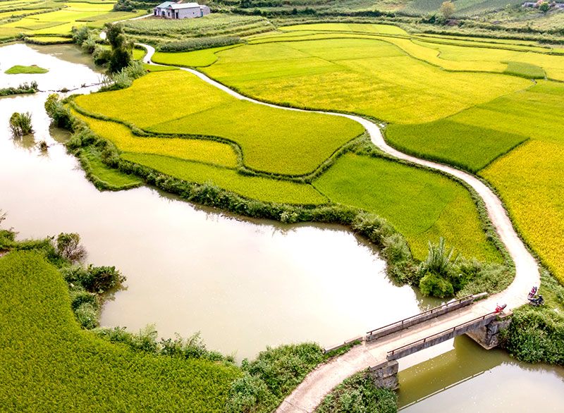 水合肼在農(nóng)藥制藥中用于生產(chǎn)除草劑,植物生長(zhǎng)調(diào)和劑和殺菌,殺蟲(chóng),殺鼠藥